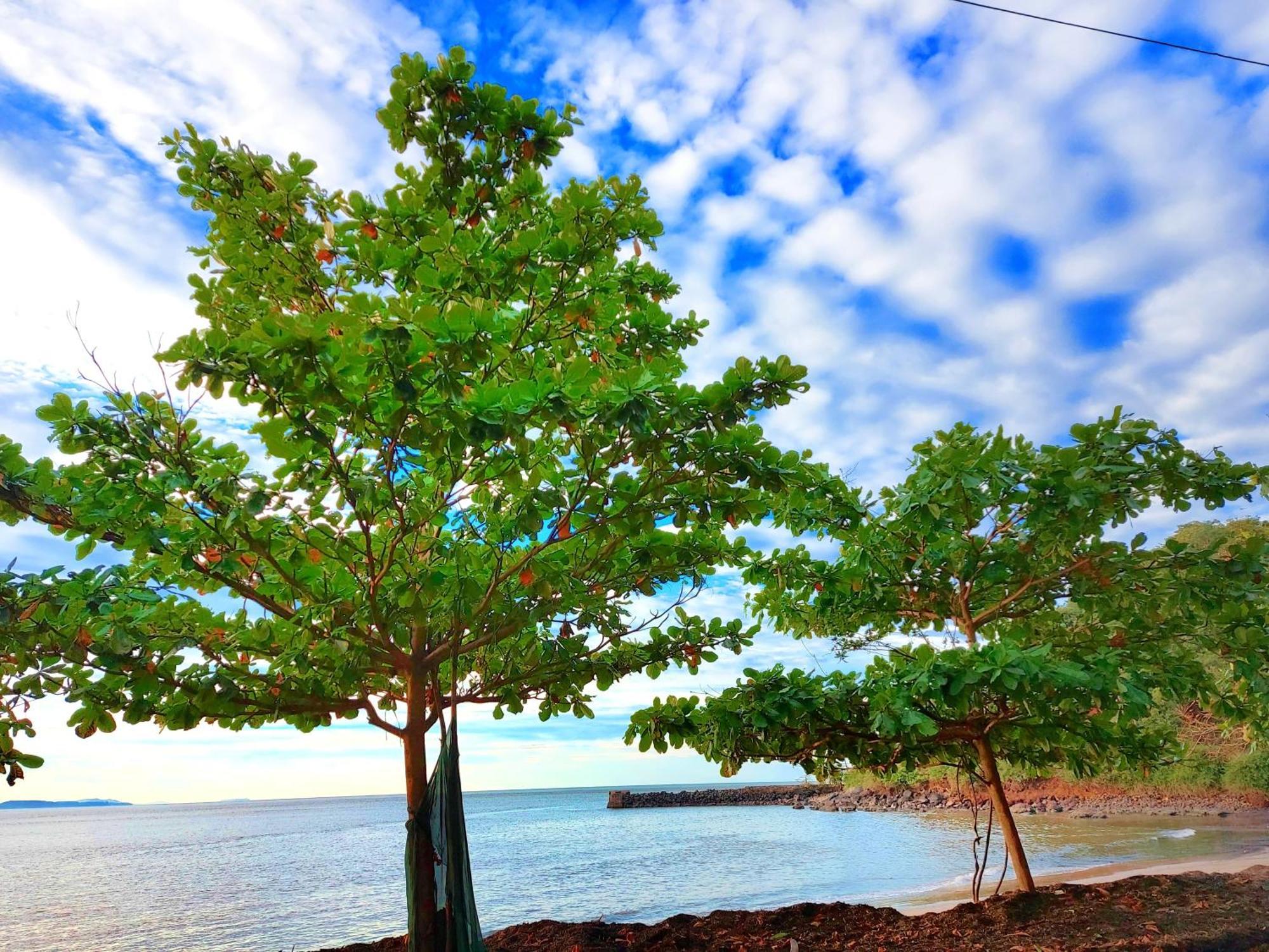 Navni Beach View Stay Gokarna  Exterior foto